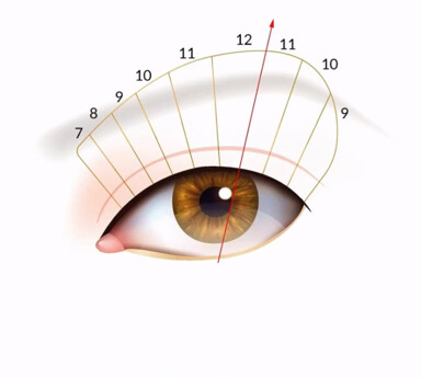 forma veverita lash mapping extensii de gene